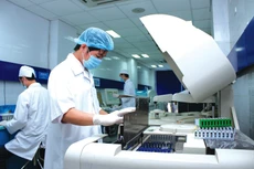 Bên cạnh giá cả và chất lượng, việc tuân thủ tiến độ giao hàng là yêu cầu cốt lõi phản ánh năng lực thực hiện hợp đồng của nhà thầu. Ảnh minh họa: Nhã Chi