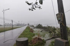 Bão số 5 gây nhiều thiệt hại ở Hà Tĩnh