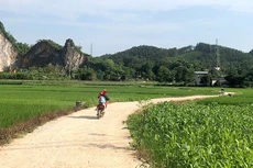 Điểm tin kế hoạch lựa chọn nhà thầu một số gói thầu lớn ngày 25/2/2026