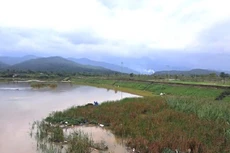 Liên danh 3 thành viên trúng gói thầu thoát nước gần 297 tỷ đồng tại Đà Nẵng