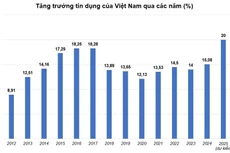 Tín dụng tăng cao, cần kích hoạt “bộ giảm xóc vĩ mô”