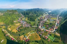 Ảnh chỉ mang tính minh họa: Internet