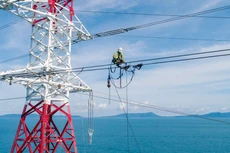 6 tháng đầu năm 2025, Tổng công ty Điện lực miền Nam đã khởi công 40 dự án lưới điện 110kV. Ảnh PC 1