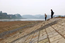Lăng kính đấu thầu ngày 28/8/2025