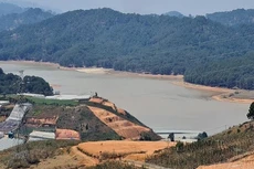 Liên danh Xây dựng 470 - Trường Sơn trúng gói thầu 160 tỷ đồng tại Lâm Đồng