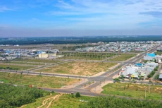 Ảnh minh họa: Tiên Giang