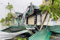 Nhanh chóng khắc phục hậu quả bão số 5 và mưa lũ, khôi phục sản xuất, kinh doanh, ổn định tình hình Nhân dân