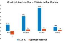 Nguồn: Báo cáo tài chính hợp nhất doanh nghiệp. Đơn vị tính: tỷ đồng