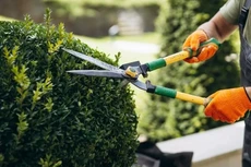 Tồn tại nhiều rào cản tại các gói thầu phi tư vấn đơn giản