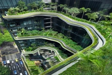 Ảnh minh họa: Internet