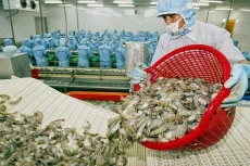 Xuất khẩu nông, lâm, thủy sản vượt 58 tỷ USD trong 10 tháng đầu năm