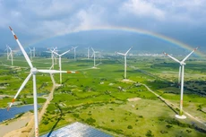 Quảng Trị sẽ đấu thầu chọn nhà đầu tư 3 dự án điện gió hơn 11.938 tỷ đồng