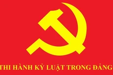 Bộ Chính trị, Ban Bí thư xem xét, thi hành kỷ luật tổ chức đảng, đảng viên vi phạm