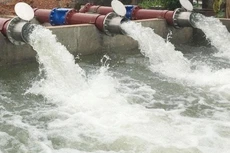 Ảnh chỉ mang tính minh họa: Internet