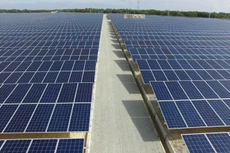Huế gọi đầu tư vào Dự án Nhà máy Điện mặt trời Phong Hòa 671 tỷ đồng