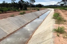 Điểm tin kế hoạch lựa chọn nhà thầu một số gói thầu lớn ngày 10/12/2025