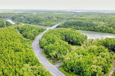 TP.HCM đầu tư 422 tỷ đồng xây dựng đường Lương Văn Nho