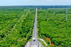 Cà Mau duyệt kế hoạch lựa chọn nhà thầu dự án bồi thường, hỗ trợ, tái định cư làm đường cao tốc hơn 2.000 tỷ đồng