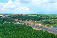 Ảnh minh họa: Internet