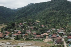 Liên danh 3 thành viên trúng gói thầu hơn 75 tỷ đồng tại Điện Biên