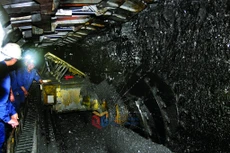 Liên danh 2 thành viên trúng gói thầu thiết bị vận tải 70 tỷ tại Than Vàng Danh