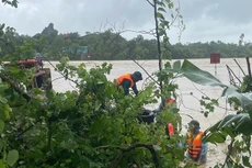 Bản tin thời sự sáng 27/8