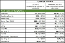 Nguồn: Báo cáo tài chính hợp nhất các doanh nghiệp. Đơn vị tính: Tỷ đồng