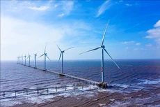 4 nhà đầu tư đăng ký thực hiện Nhà máy Điện gió Đông Hải 13 hơn 3.600 tỷ đồng