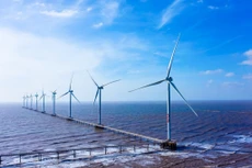 Cà Mau chấp thuận đầu tư nhà máy điện gió hơn 2.000 tỷ đồng