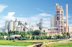 Vicem Hoàng Mai báo lãi hơn 7 tỷ đồng trong quý II/2025