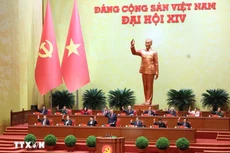 Đại hội biểu quyết thông qua số lượng Ủy viên Ban Chấp hành Trung ương Đảng khóa XIV. (Ảnh: TTXVN)