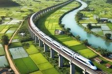 Ảnh minh họa: Internet