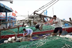 Ứng phó bão số 3: Khẩn trương nhất, quyết liệt nhất đảm bảo an toàn tính mạng và tài sản của Nhân dân