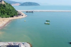 Liên danh Hateco - Cảng biển Hateco - APM Terminals B.V. đầu tư cảng container Liên Chiểu