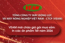 VEAM mời chào giá gói mua sắm in các ấn phẩm Tết năm 2026