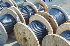 Vượt 6 đối thủ, Cáp điện Thịnh Phát trúng gói thầu 77 tỷ đồng tại Điện lực TP.HCM