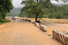 Điểm tin kế hoạch lựa chọn nhà thầu một số gói thầu lớn ngày 18/11/2025