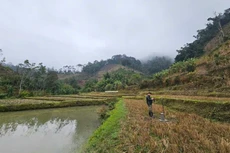 Chọn thầu giải phóng mặt bằng cụm công trình thủy lợi Bắc Kạn trong quý III/2026