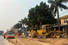 Liên danh 2 thành viên trúng gói thầu gần 90 tỷ đồng tại Hải Phòng