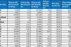 Nợ xấu và tăng trưởng tín dụng của các ngân hàng - Nguồn: Báo cáo tài chính quý II/2025 các ngân hàng