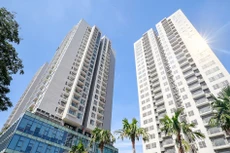 Long Giang Land muốn vay thêm 340 tỷ đồng để thực hiện Dự án Rivera Park Cần Thơ