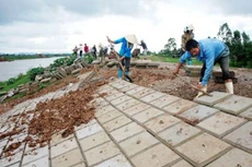 Liên danh 7 thành viên trúng gói thầu 254 tỷ đồng xử lý sạt lở đê kè tại Ninh Bình