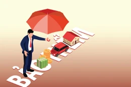 Gói thầu số 20 Bảo hiểm công trình