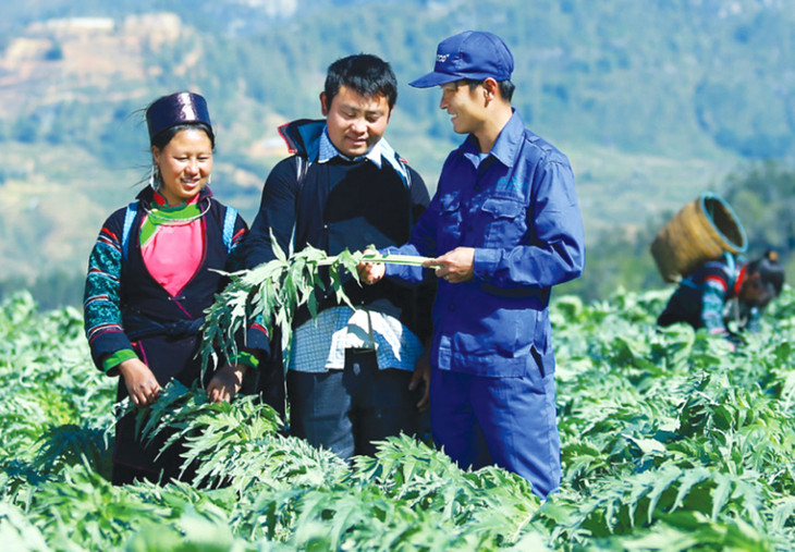 Đổi mới sáng tạo chính là chìa khóa giúp doanh nghiệp sống bền, sống khỏe. Ảnh: st Đổi mới sáng tạo chính là chìa khóa giúp doanh nghiệp sống bền, sống khỏe. Ảnh: st