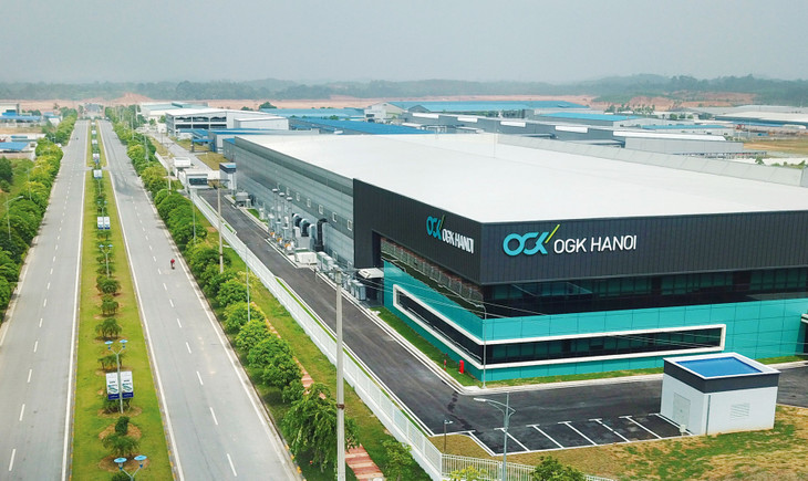 Các nước nhận vốn đầu tư nước ngoài như Việt Nam cần có chính sách ứng phó thuế tối thiểu toàn cầu và những giải pháp hỗ trợ để giữ chân doanh nghiệp FDI. Ảnh: Tiên Giang