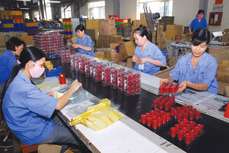 Trong khoảng 900.000 doanh nghiệp đã được thành lập và hoạt động, số doanh nghiệp nhỏ và siêu nhỏ chiếm gần 94%. Ảnh: Nhã Chi