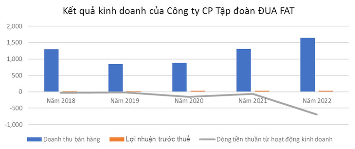 Đơn vị tính: tỷ đồng, nguồn: báo cáo tài chính hợp nhất của Công ty CP Tập đoàn Đua Fat
