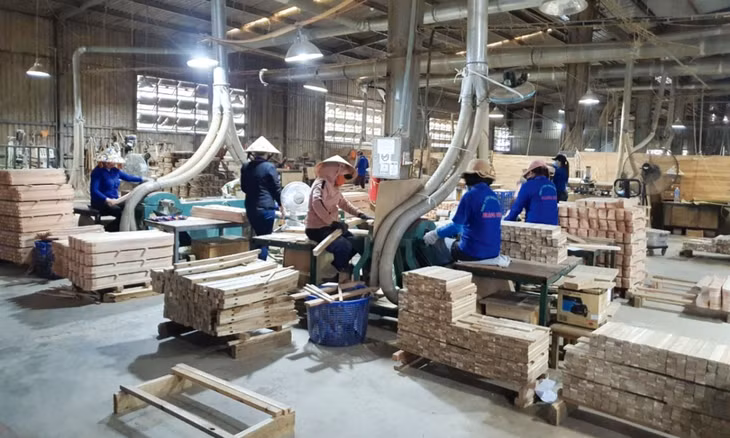 Doanh nghiệp sản xuất sản phẩm từ gỗ tại Bình Định