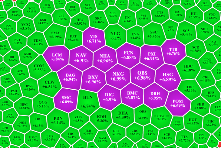 Nhóm cổ phiếu nhỏ tăng giá rất tốt trong buổi chiều.