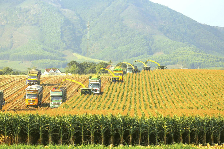 Tập đoàn TH tiên phong ứng dụng khoa học công nghệ hiện đại hàng đầu thế giới vào quy trình sản xuất chăn nuôi Tập đoàn TH tiên phong ứng dụng khoa học công nghệ hiện đại hàng đầu thế giới vào quy trình sản xuất chăn nuôi